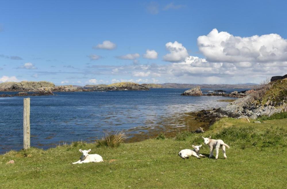Culkein Lodge Drumbeg Exterior photo